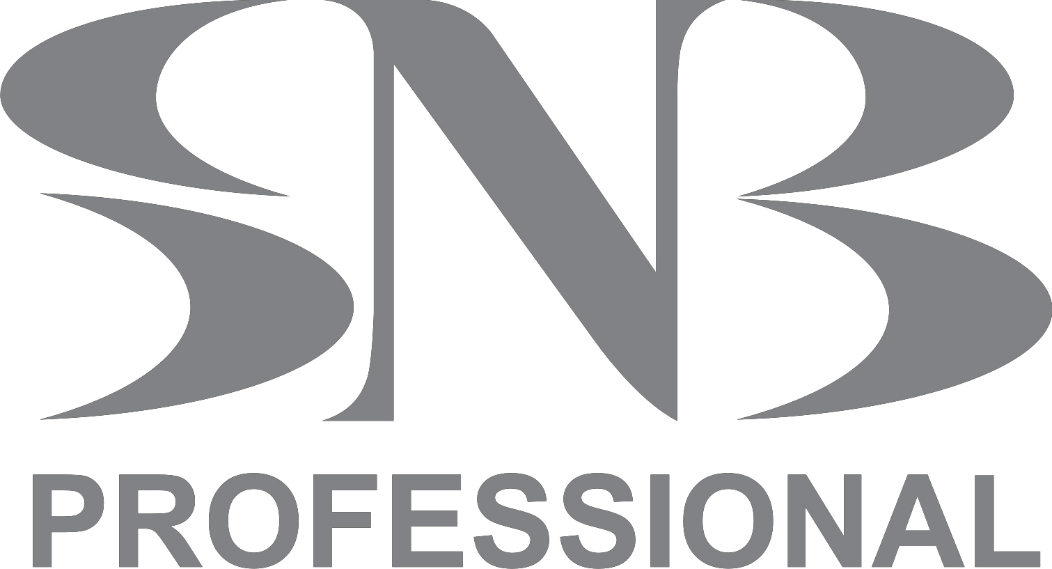 logo SNB PROFESSIONAL
